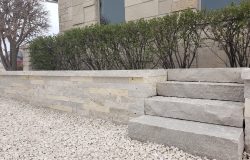 6' Superior Sawn Wall