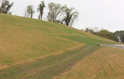 Extended Term Erosion Control Blankets
