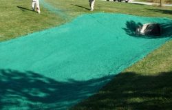 Flexible Growth Mediums