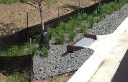 Rain Guardian Bunker