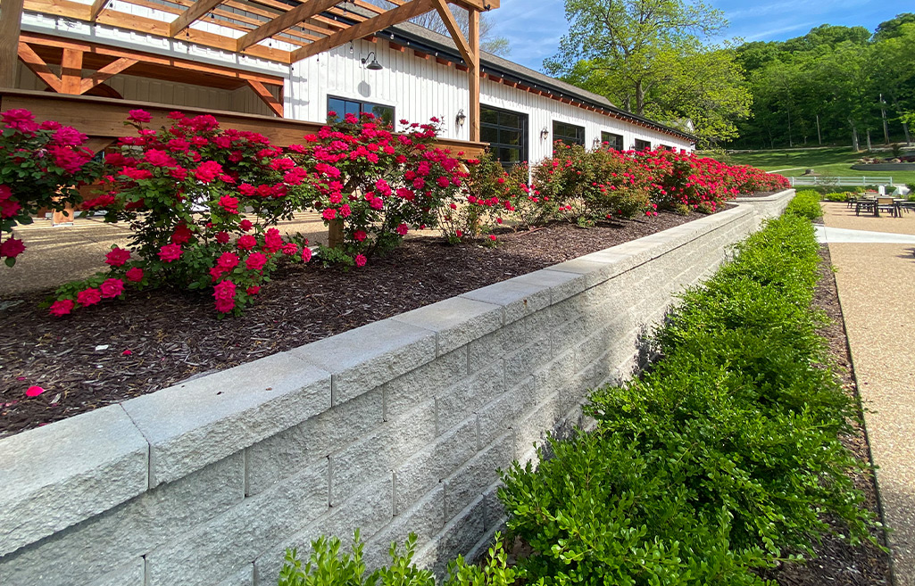 Rockwood Wall