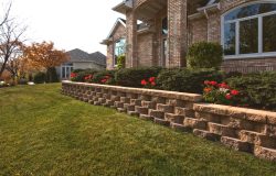 Cottage Stone Wall