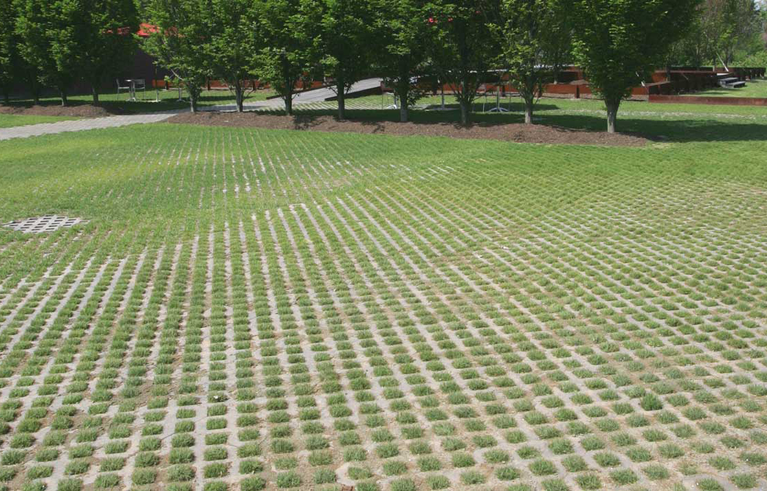Turfstone paver