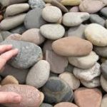 Squaw Valley Skippers