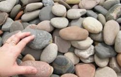 Squaw Valley Skippers