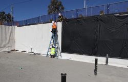 AVM Aussie Skin 550G